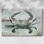Toile tendue crabe neutre I-Gallery-519828587