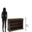Special Reserve Console Bookcase