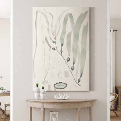 " Sage Green Seaweed III "