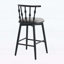 Ensemble de 2 chaises d'appoint d'intérieur combinant élégance traditionnelle et confort moderne-310092169