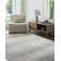 Takuo Area Rug