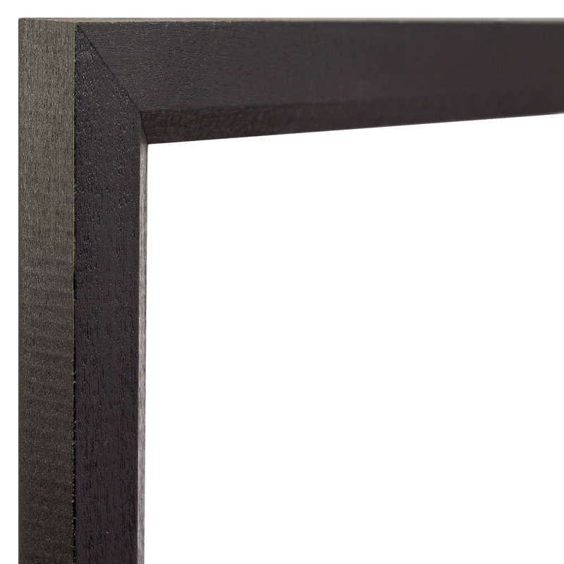 Delasha Ebony Solid Wood Matte Picture Frame - Set of 4, 11" W x 14" H