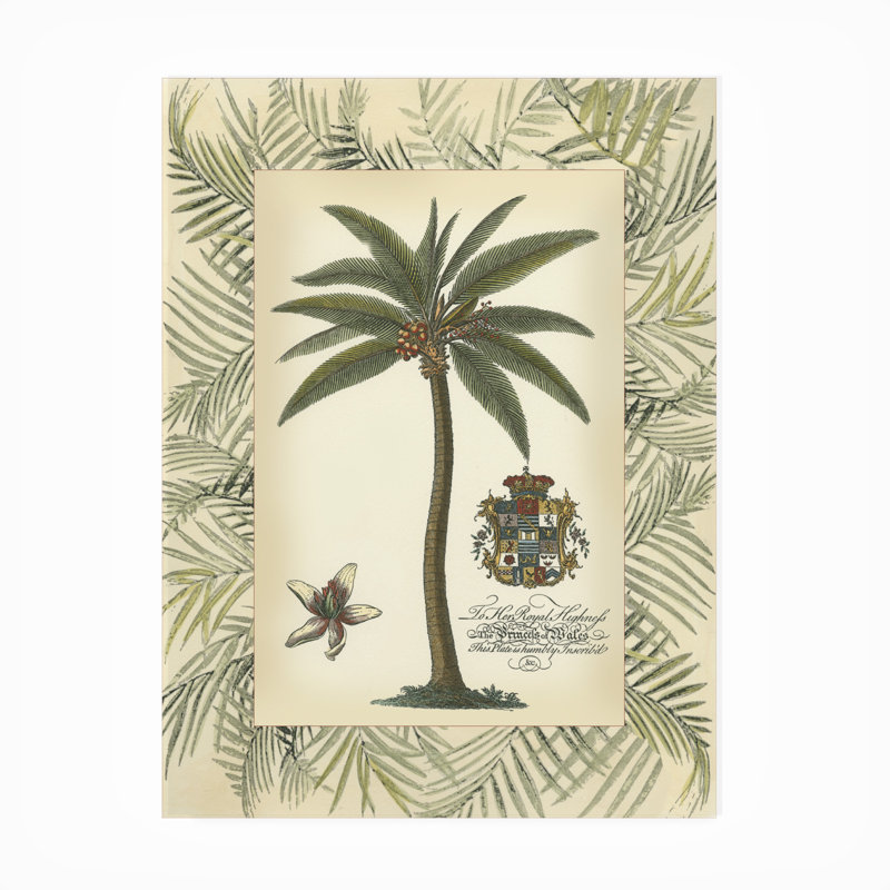 Toile d'extérieur «Palm in Bamboo Frame I» Ovia Vision Studio, H 32 po x l 24 po x P 1,5 po