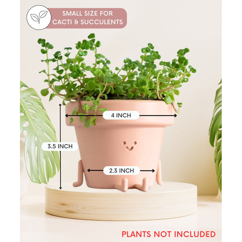 Cute Pots Pot Planter