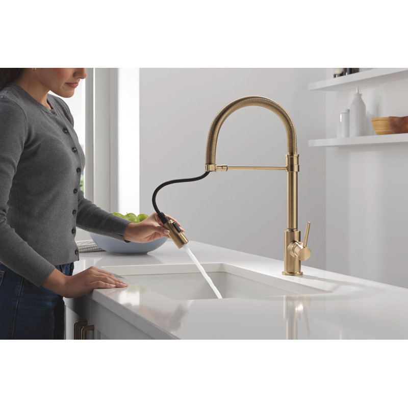 Robinet de cuisine Trinsic Pro Style, Bronze champagne