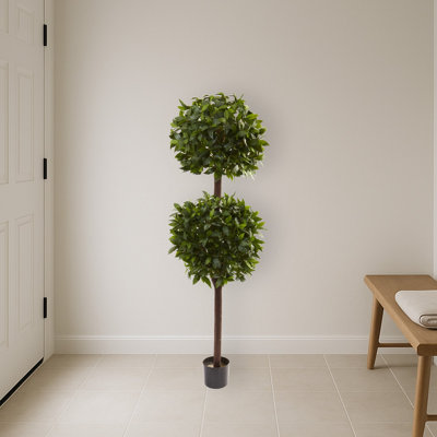 Sweet Bay Double Ball Topiary