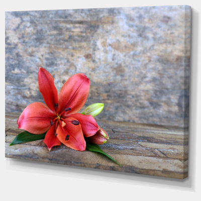" Beautiful Fallen Red Lily Flower "