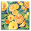 Art mural en verre «Summery Citrus» par Kristy riz-1577781677