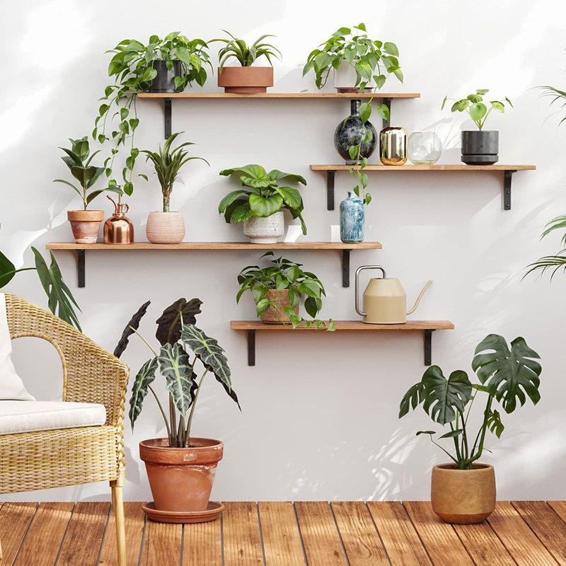 Ensemble de 2 tablettes murales flottantes 23,6 ", bois rustique