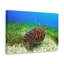 No Frame Print on Canvas