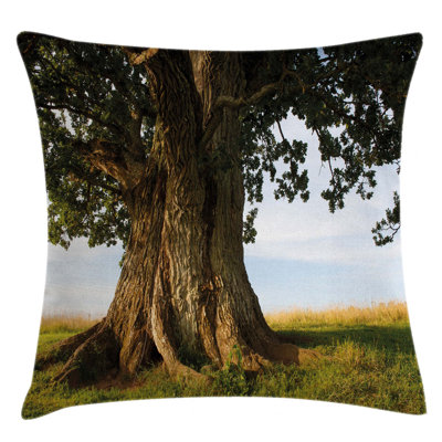 Outdoor Pillow Cover