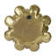 Plaque murale succulente D10x1,6 po