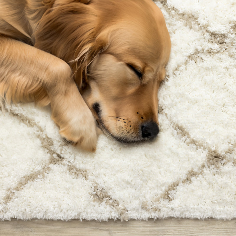 Tapis à motif de treillis géométrique beige Kostantza, Rectangle 5 pi 3 po x 7 pi 7 po