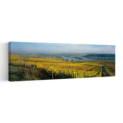 Vineyards Near A Town, Rudesheim, Rheingau, Germany Tranquil Abstract Contemporary Landscape Nature Wall Art