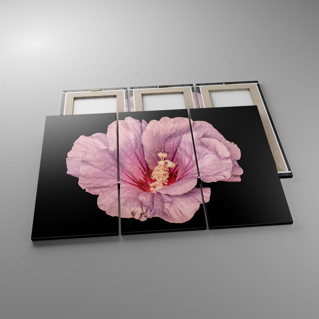 3-tlg. Leinwandbilder-Set Hibiscus Flower Pink