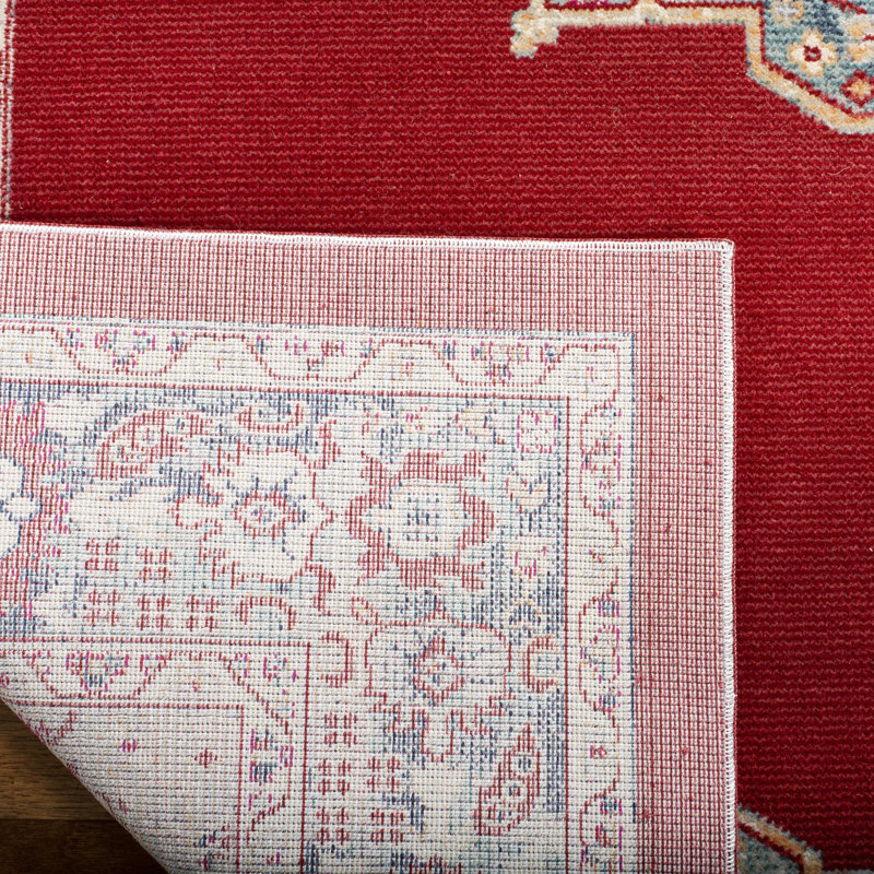 Doucet 300 Pes/Cotton/Pp/Latex Oriental Rug in Red/Aqua, Rectangle 4' x 6'