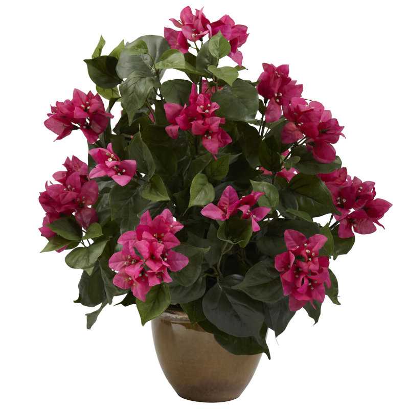 Arrangements floraux en pot