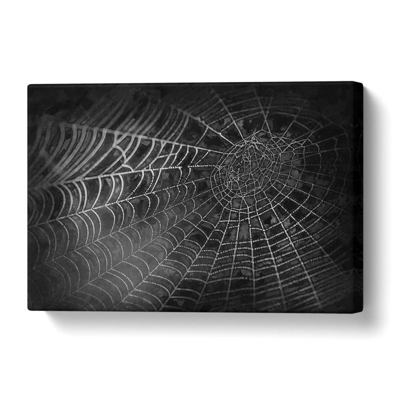 Spiders Cobweb In Abstract - Wrapped Canvas Print, 60 cm H x 90 cm W