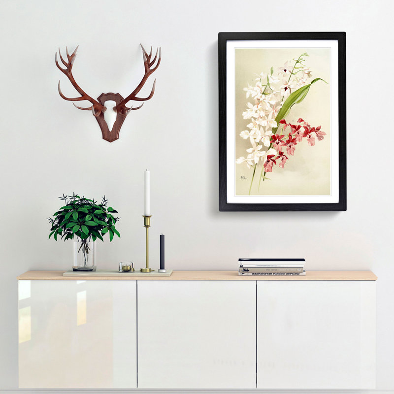 Magnolia Flowers Illustration Tab. 63 by Frederick Sander - Picture Frame Painting Print, 91cm H x 60cm W x 2cm D, Black