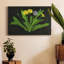 Wild Dandelion II - Wrapped Canvas Print-974503454