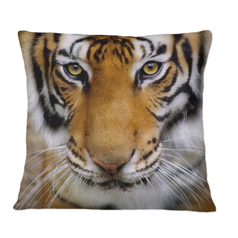 Portrait of A Tigers Face - Coussin décoratif à imprimé traditionnel, 16 po x 16 po