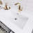 Spring 60" Double Sink Bathroom Vanity-70182668