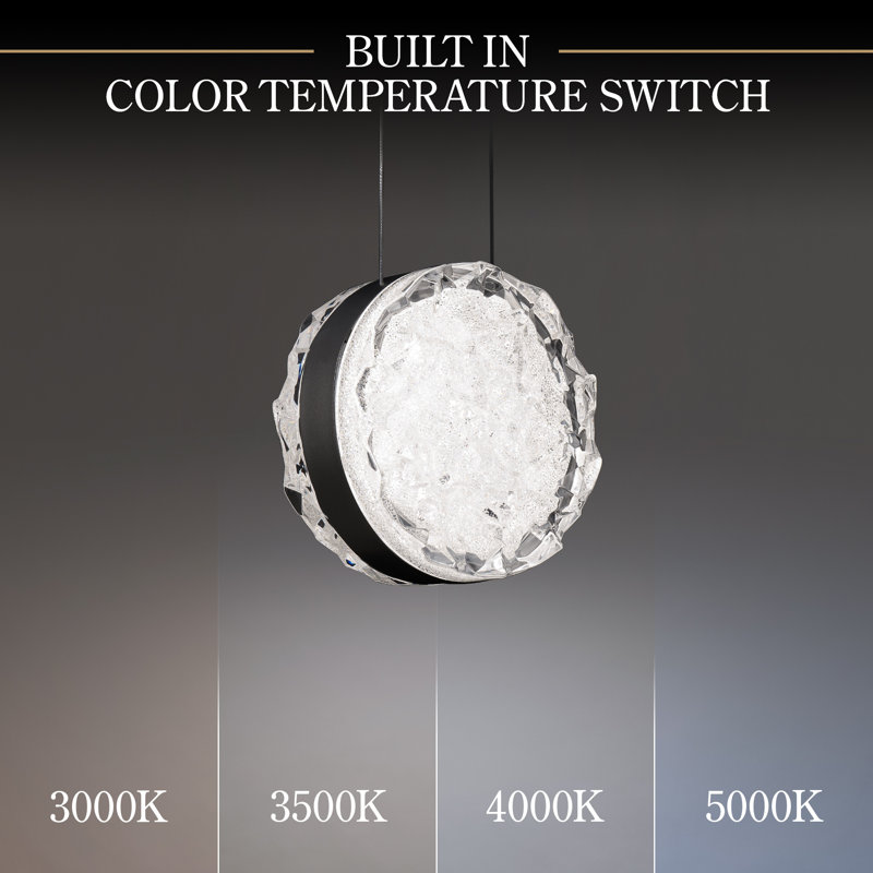 Bramble 1 - Light LED Pendant, Black