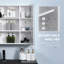 Wyat Mirrored Bathroom Cabinets with Mirror and 3 Adjustable Shelves