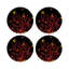 Napperon Coral Reef-117536474
