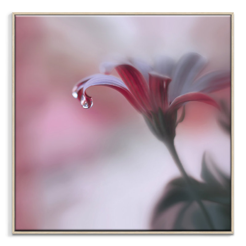 Print on Canvas, 102cm H x 102cm W, Timber Floater Frame