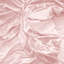 Ensemble de draps en percale 100% coton Classic Cool & Crisp 4 pièces-71013773-71013774