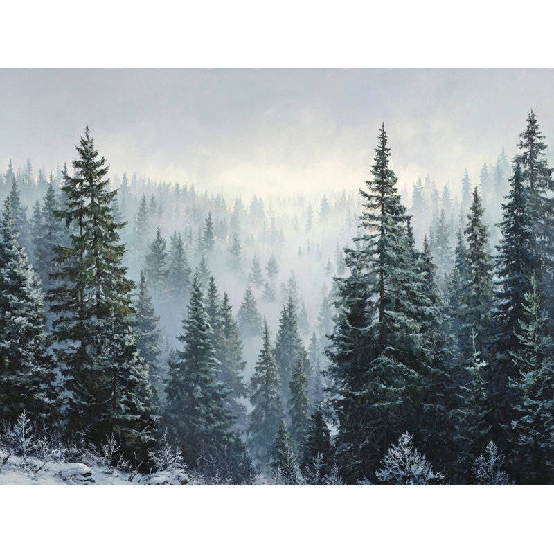 «Morning Mist Pine Forest», art mural sur toile tendue, H 12 po x l 16 po