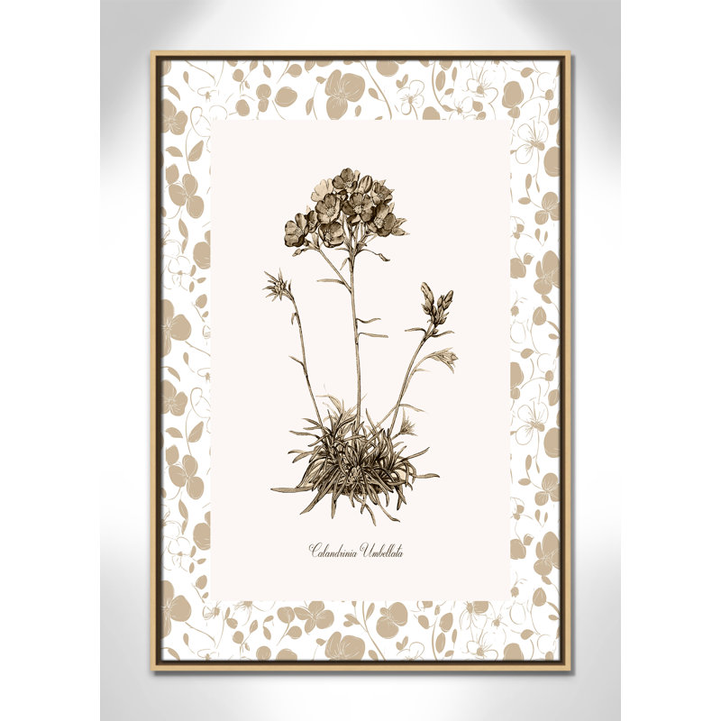 «Neutral Imperial IV» par Kelly Donovan, 25.5'' W x 37.5'' H, Framed Canvas, Flotteur naturel
