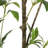 120CMARTIFICIAL PIERIS TREE