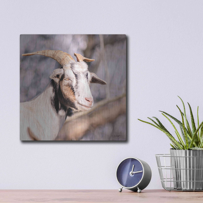 «Brown Goat» par Donnie Quillen, H 12 po x l 12 po