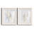 " Soft Shell I " 2 - Pieces-362566194-362566192-362566195