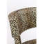 Chaises de salle à manger Claws Out