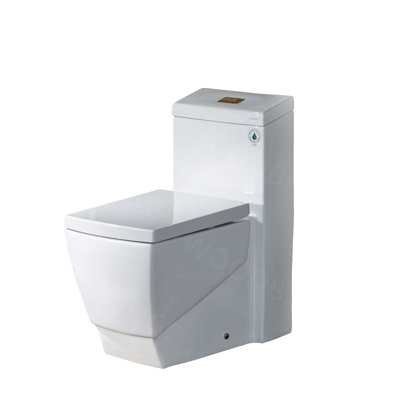 Dual-Flush Elongated One-Piece Toilet