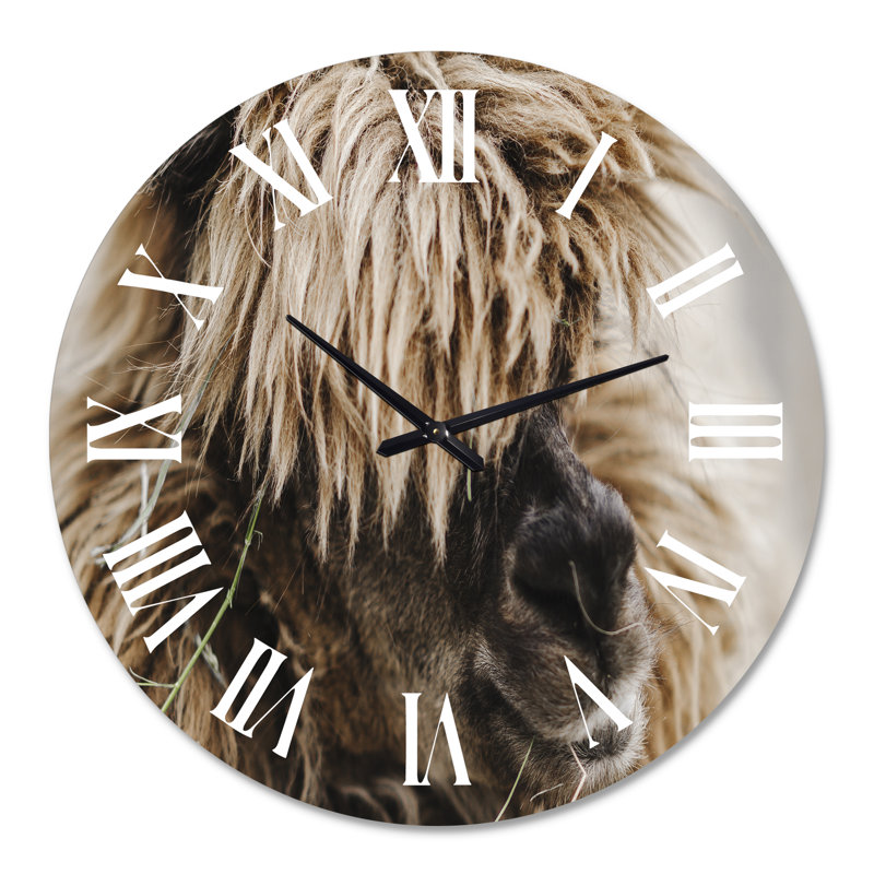 Portrait d'alpaga bouclé moelleux - horloge murale de ferme, Surdimensionné