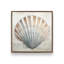 «Cape Cod Clamshell» par Nicole DeCamp, reproduction d'art-1392074225-1392074226-1392074255