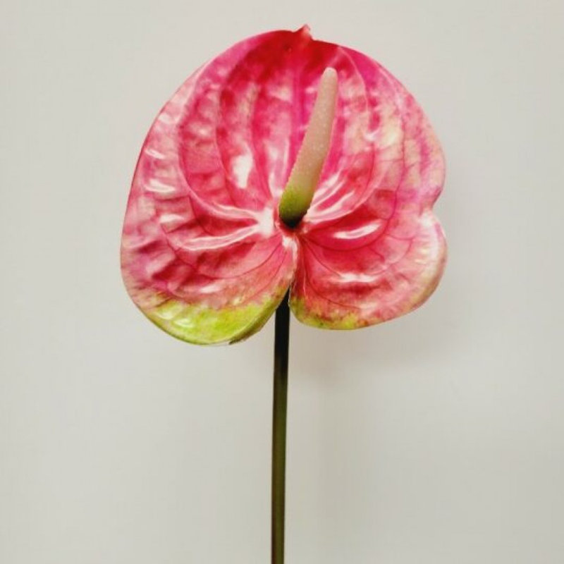 Anthurium Stem Artificial Flower, Pink