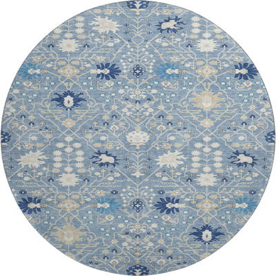 Premium Machine Washable Colmenero AMF1009 Oriental Rug