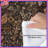 Intricate Floral Foliage Pattern Comforter-123325220