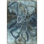 Inward Bound Print by Danielle Davis-740005338