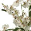 Arrangement floral dans une vase-1226068046