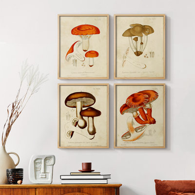 «Mushroom Variétés», reproduction encadrée - ensemble de 4