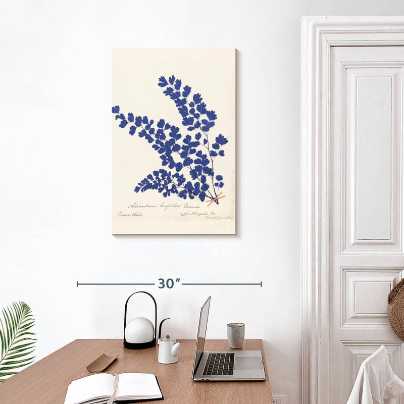 Harnek Botanical Fern III, H 30 po x l 20 po