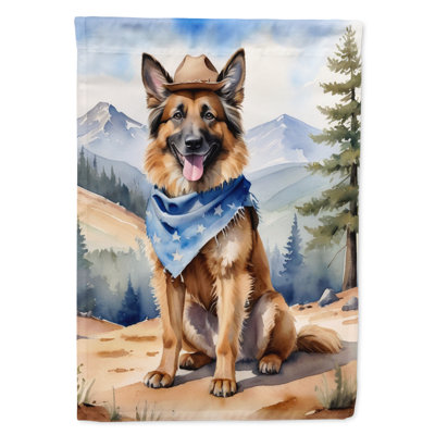 Drapeau Cowboy Welcome House