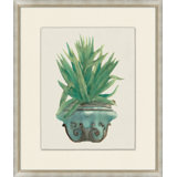 Aloe Pot 6 Print