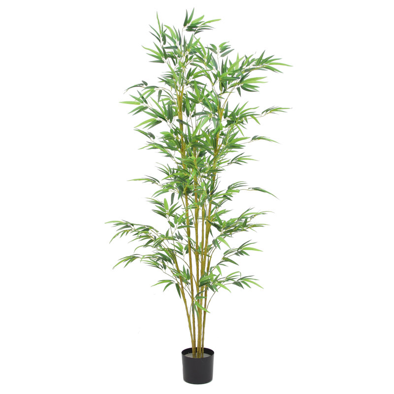 72'' Faux Bamboo Tree in Planter